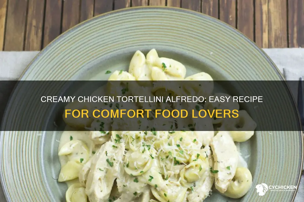 how to make chicken tortellini with alfredo sauce