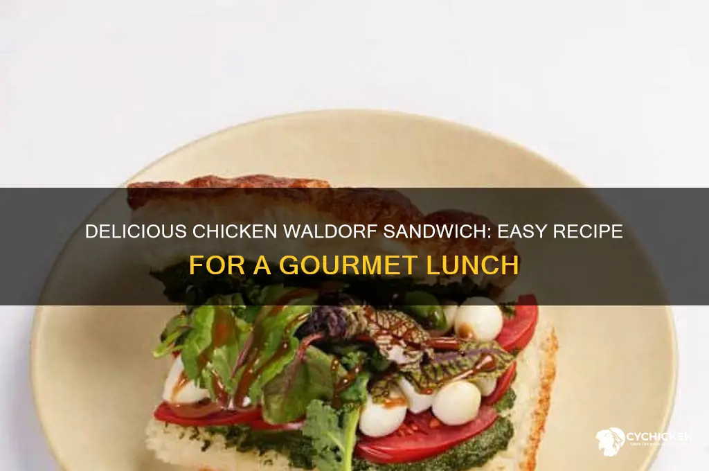 how to make chicken waldorf sandwich
