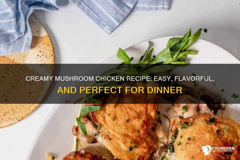 how to make chicken with mushroom cream sauce