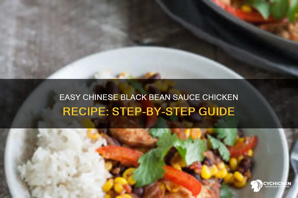 how to make chinese black bean sauce chicken recipe