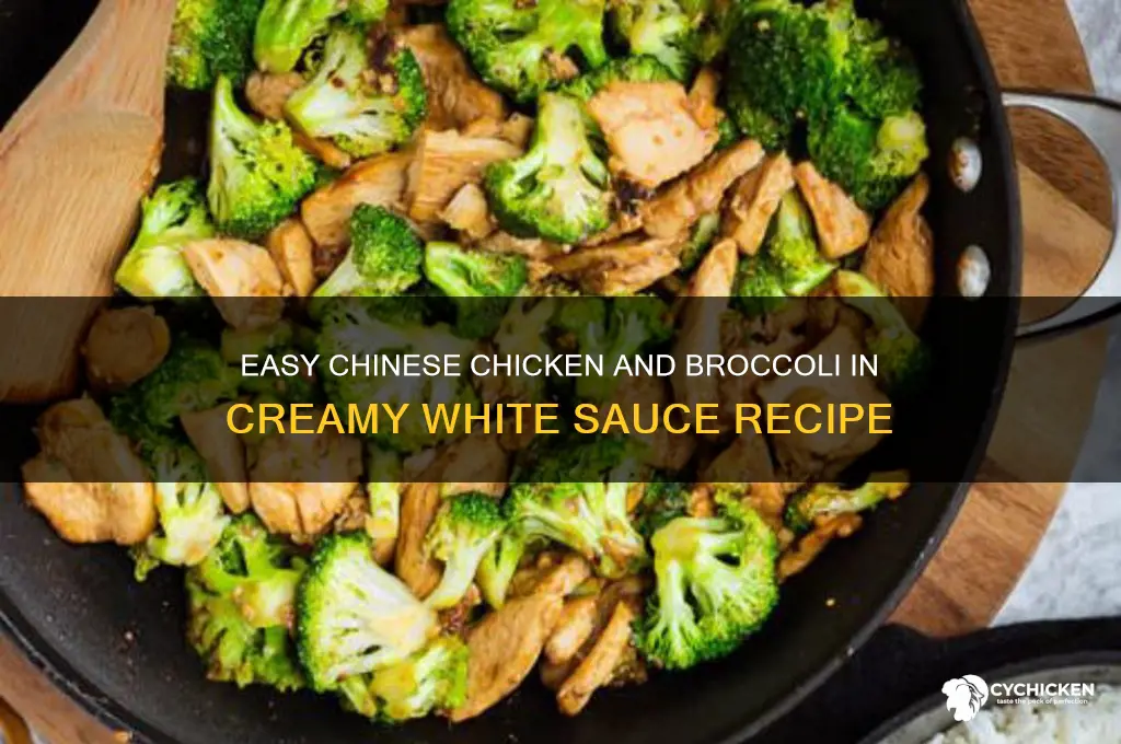 how to make chinese chicken and broccoli in white sauce