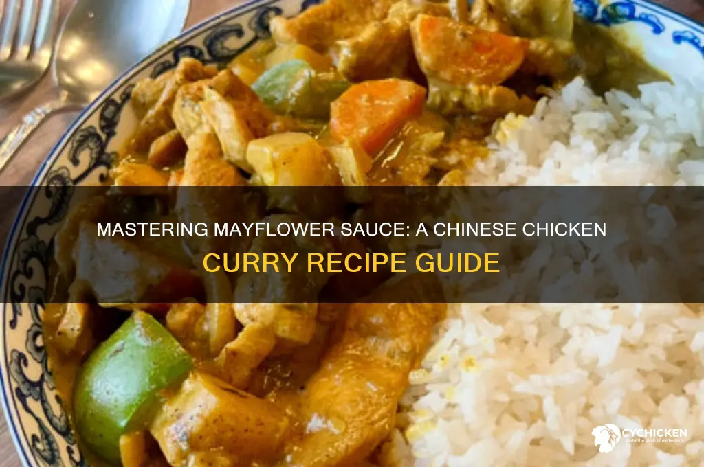 how to make chinese chicken curry mayflower sauce