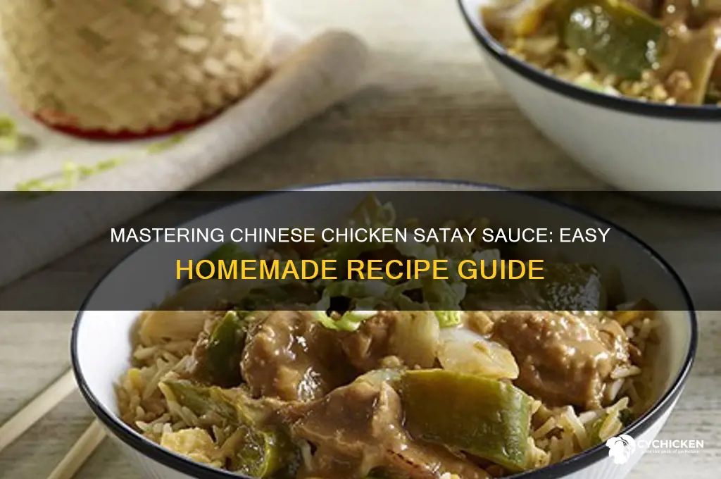 how to make chinese chicken satay sauce