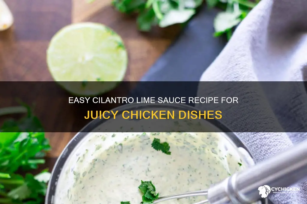 how to make cilantro lime sauce for chicken