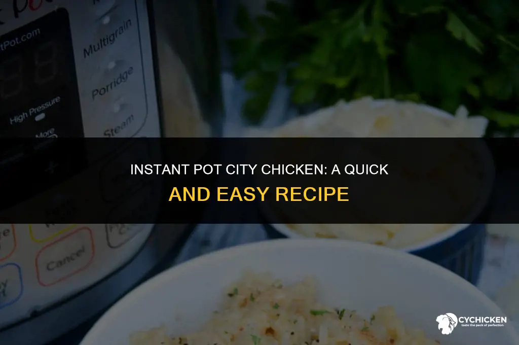 how to make city chicken in an instant pot