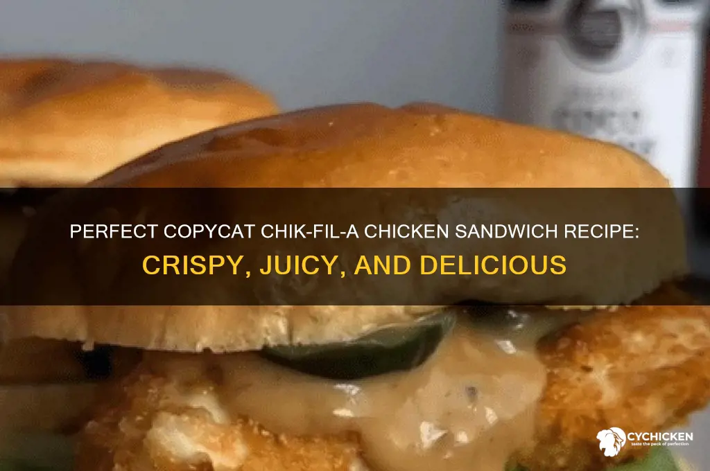 how to make copycat chik fil a chicken sandwich