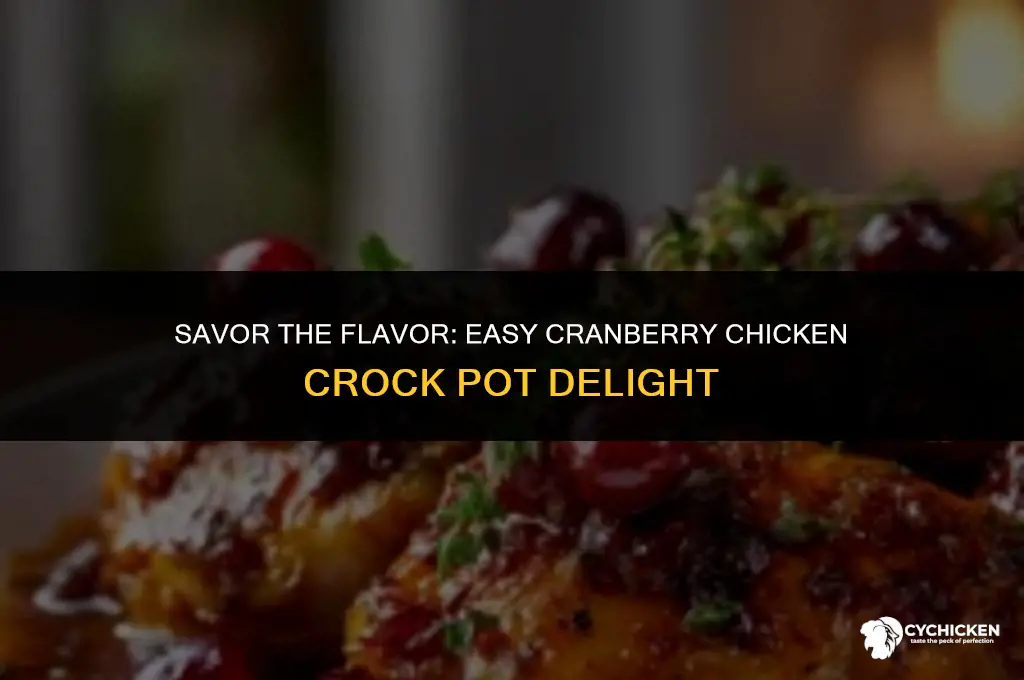 how to make cranberry chicken crock pot