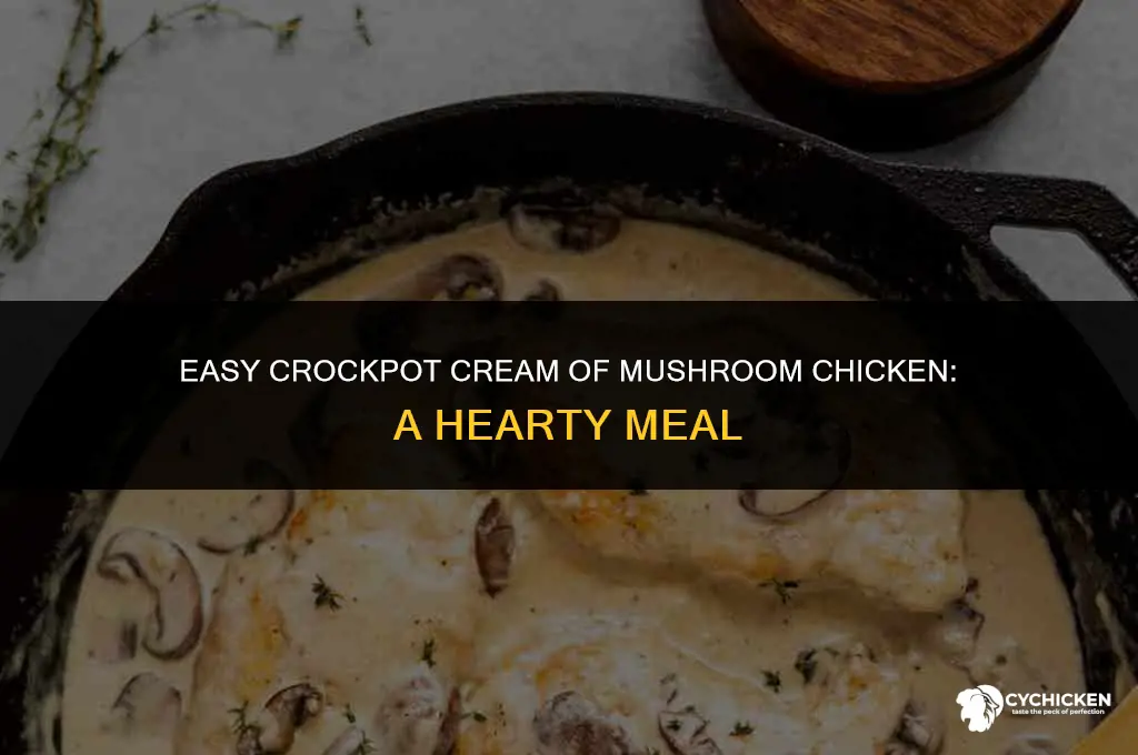 how to make cream of mushroom chicken in crock pot
