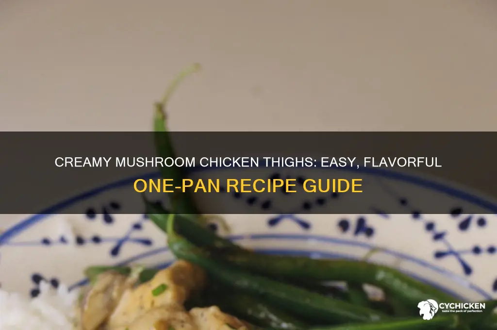 how to make cream of mushroom chicken thighs