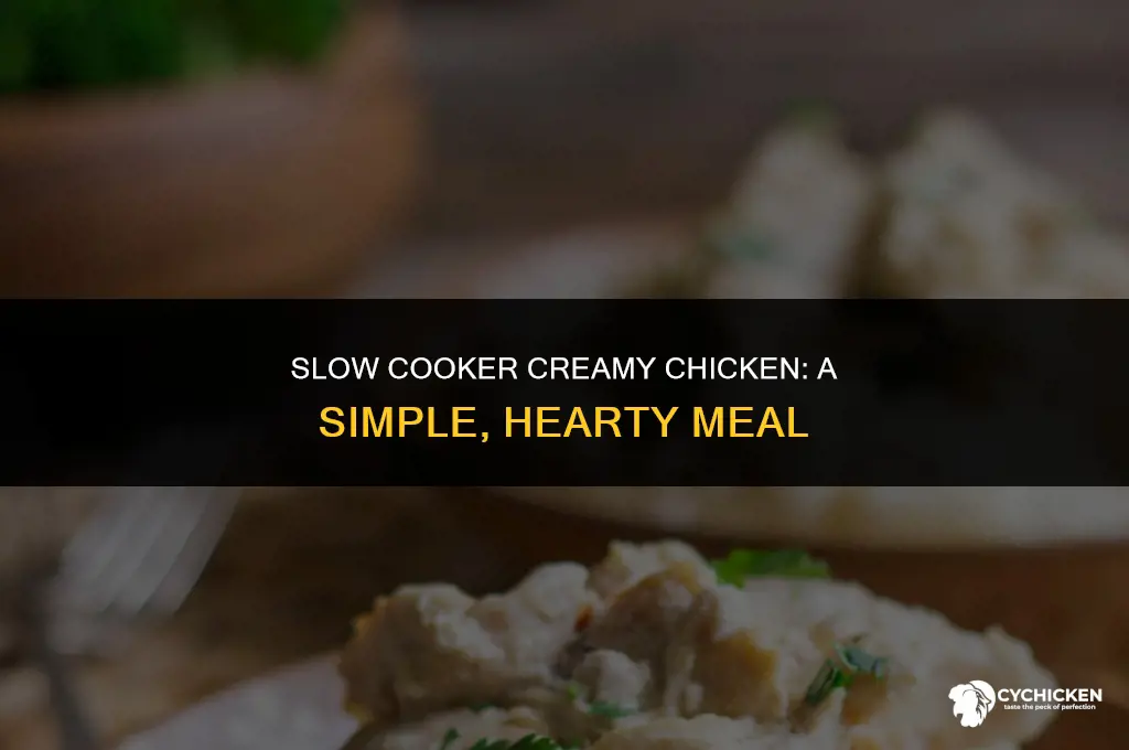 how to make creamy chicken in a crock pot