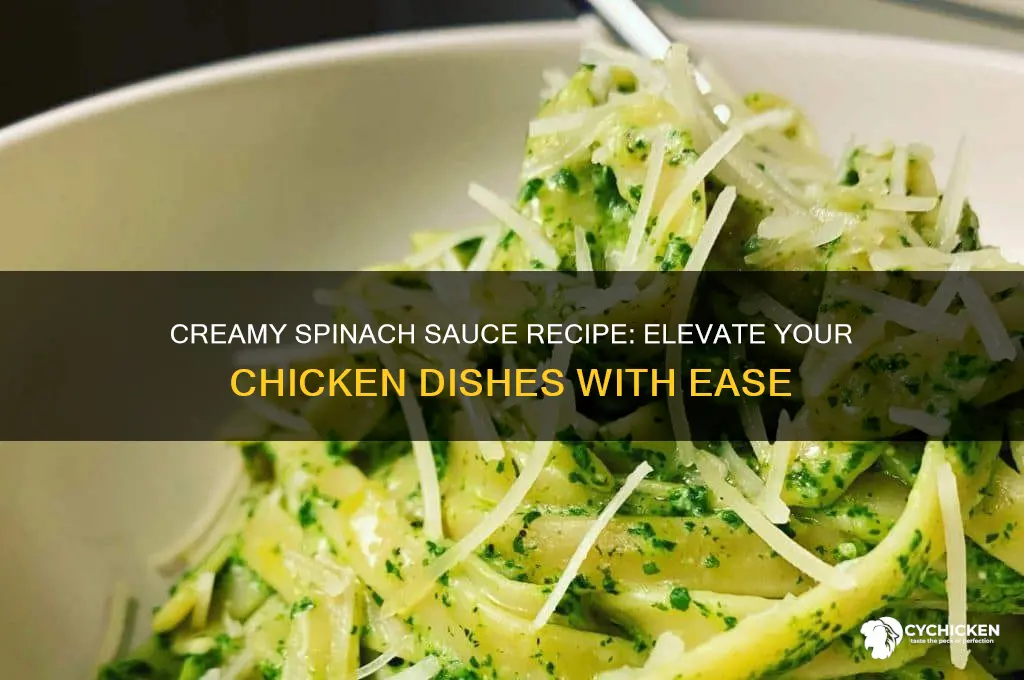 how to make creamy spinach sauce for chicken
