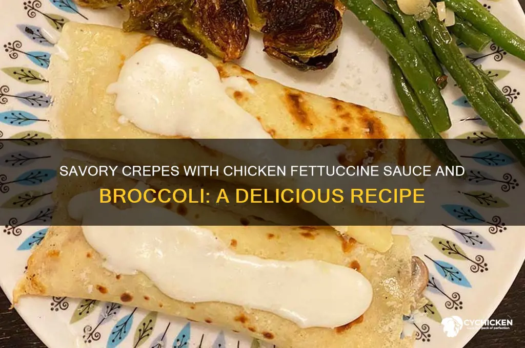 how to make crepes with chicken fettucine sauce and broccoli