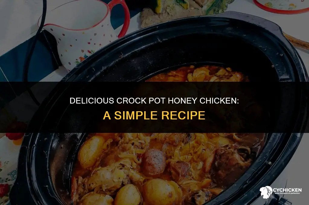 how to make crock pot honey chicken