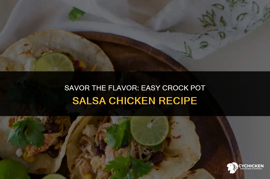 how to make crock pot salsa chicken