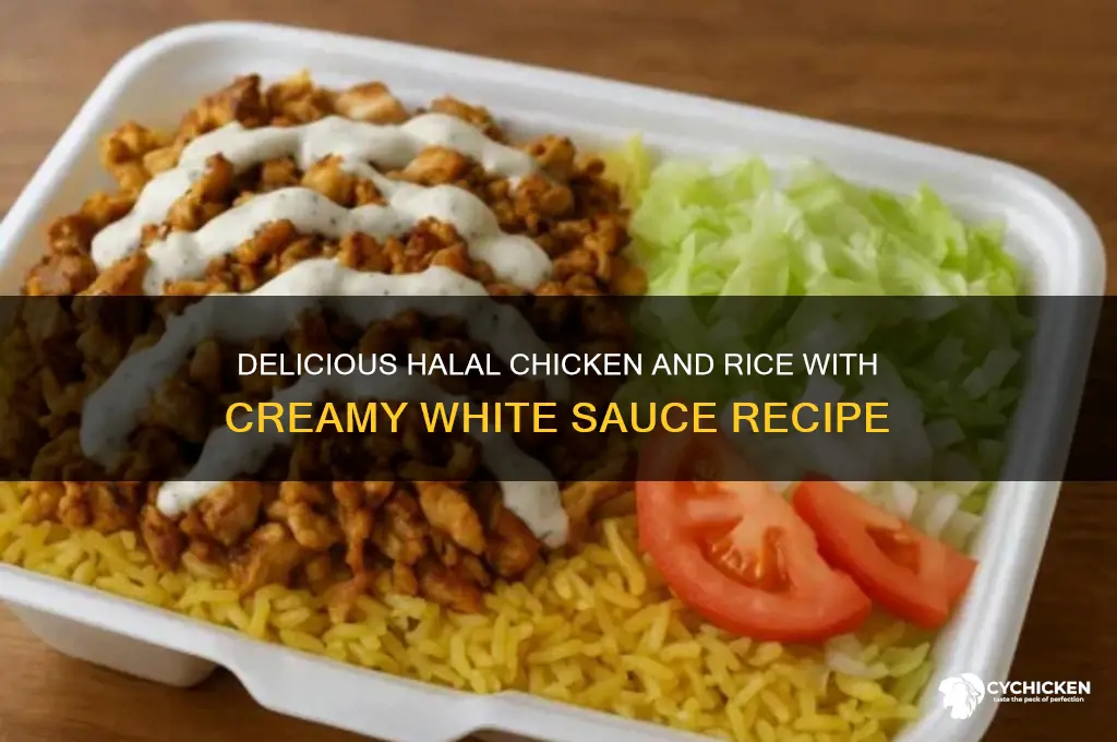 how to make halal chicken and rice with white sauce