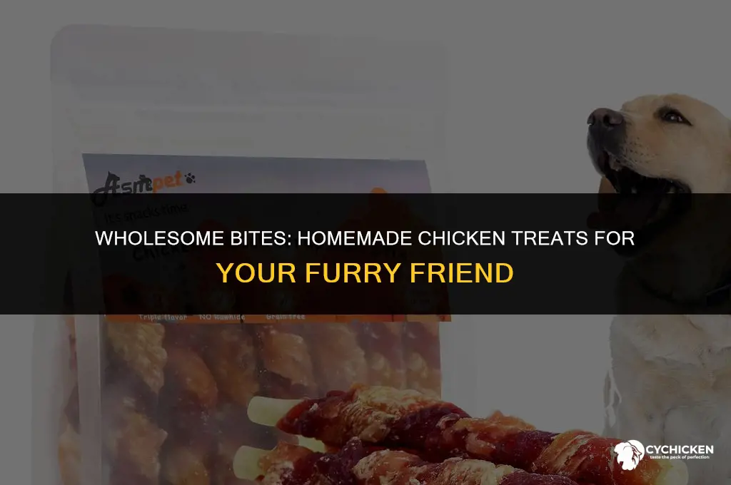 how to make healthy dog treat with chicken
