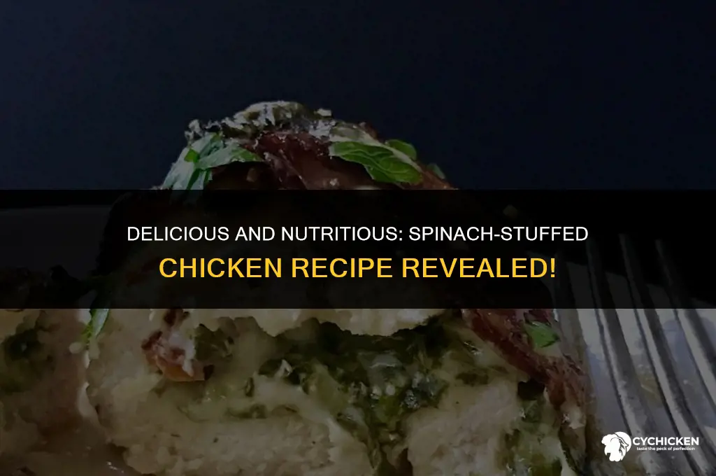 how to make healthy spinach stuffed chicken