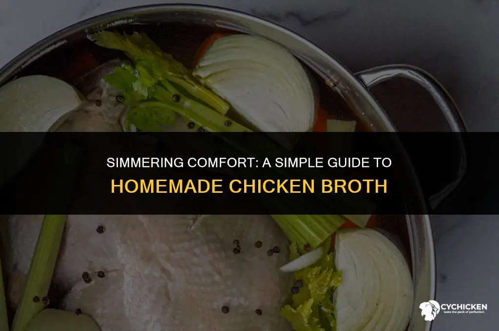 how to make homeade chicken broth