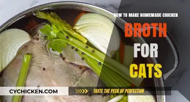 Purr-fectly Nourishing: Homemade Chicken Broth for Your Feline Friend
