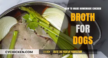 Simmering Comfort: Homemade Chicken Broth Recipes for Your Canine Companion
