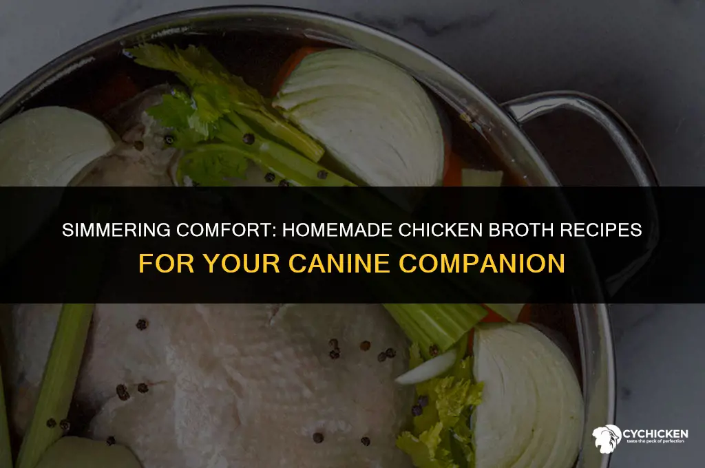 how to make homemade chicken broth for dogs