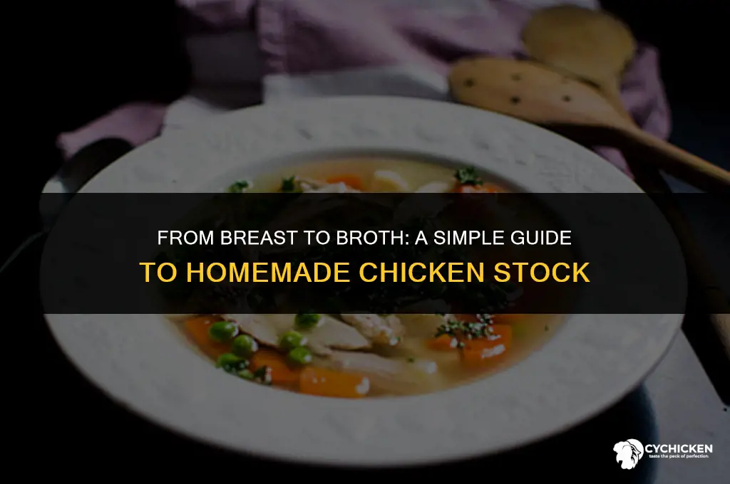 how to make homemade chicken broth from chicken breast