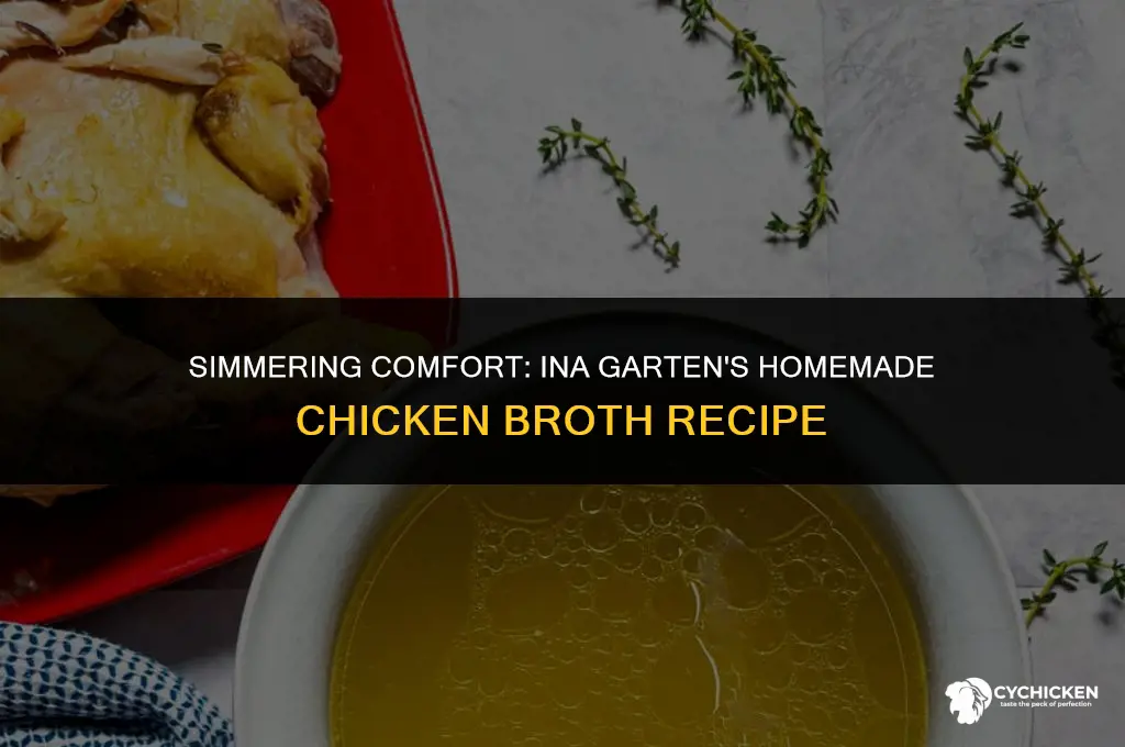 how to make homemade chicken broth ina garten