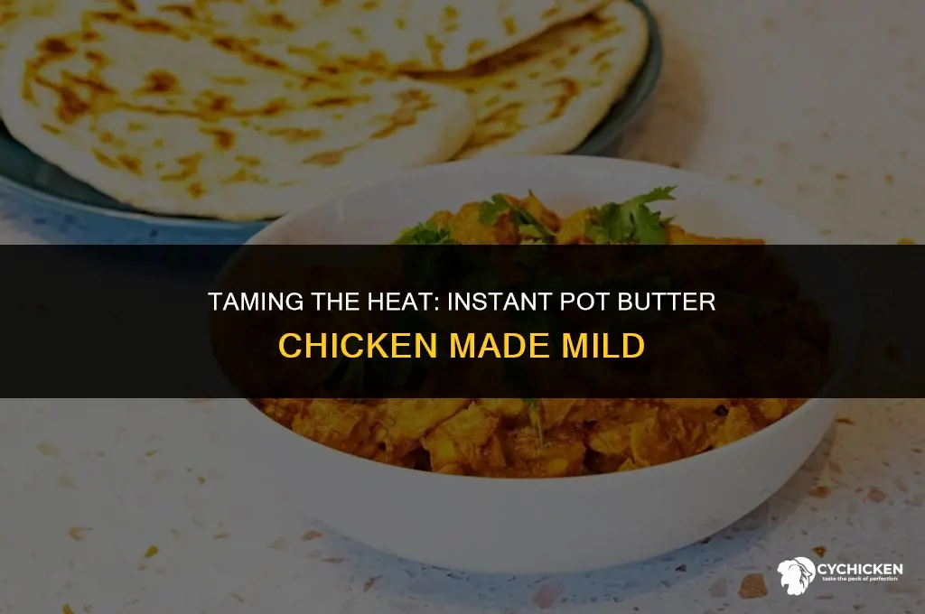 how to make instant pot butter chicken less spicy