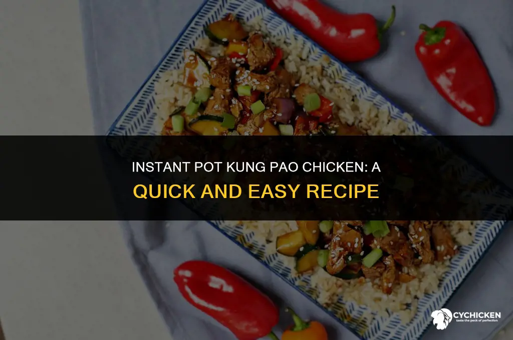 how to make kung pao chicken in instant pot