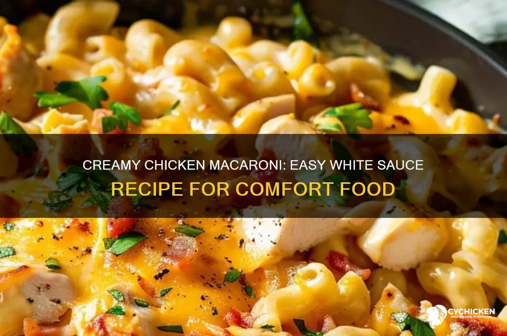 how to make macaroni with white sauce and chicken