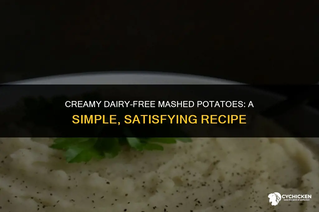 how to make mashed potatoes without dairy or chicken broth