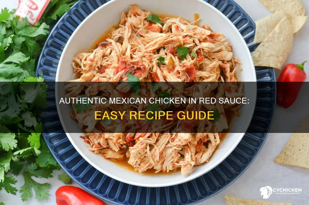 how to make mexican chicken in red sauce