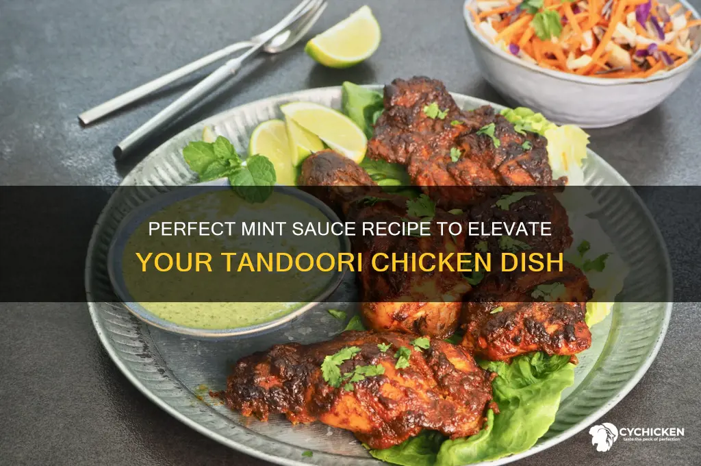 how to make mint sauce for tandoori chicken