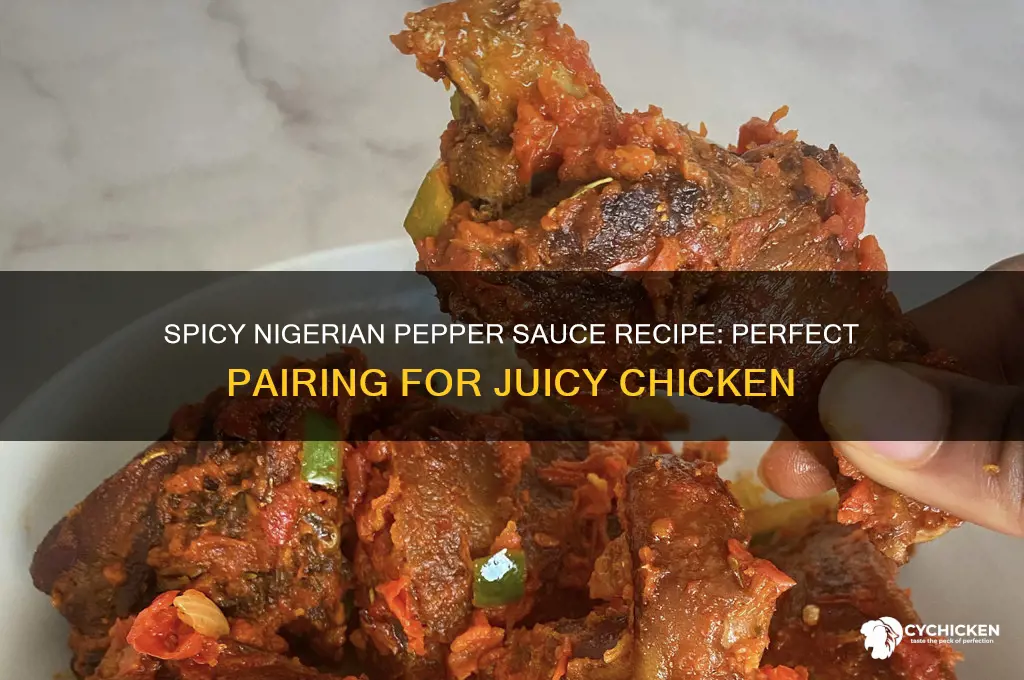 how to make nigerian pepper sauce for chicken