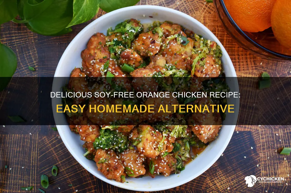 how to make orange chicken without soy sauce