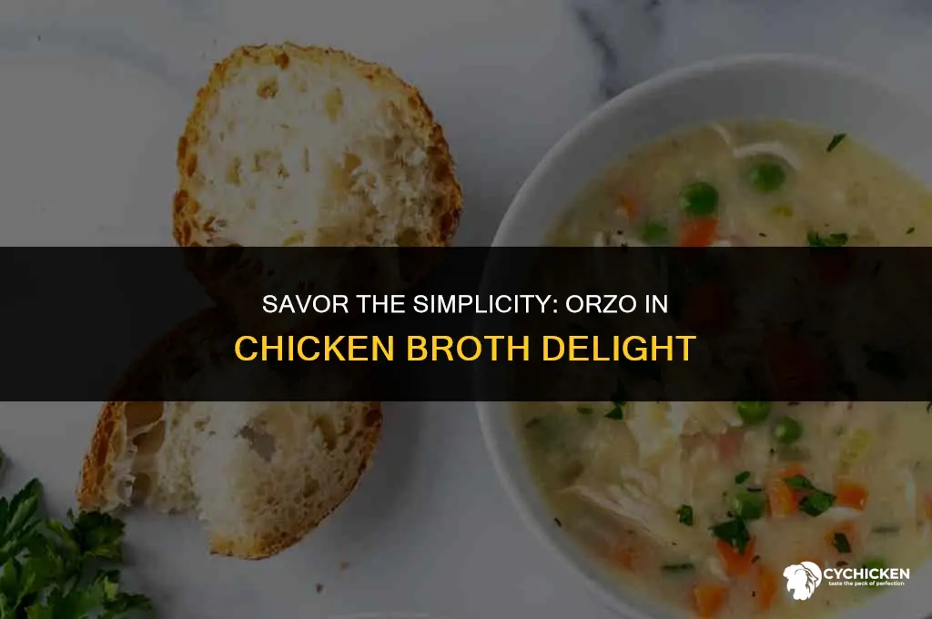 how to make orzo in chicken broth