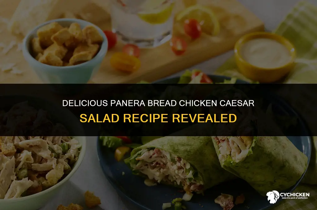how to make panera bread chicken caesar salad