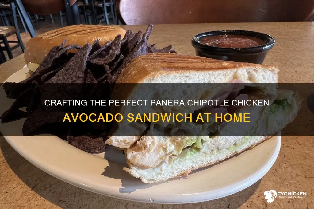how to make panera chipotle chicken avocado sandwich