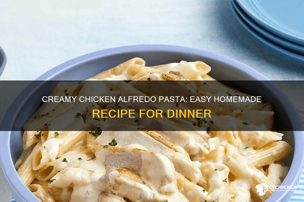 how to make pasta with alfredo sauce and chicken
