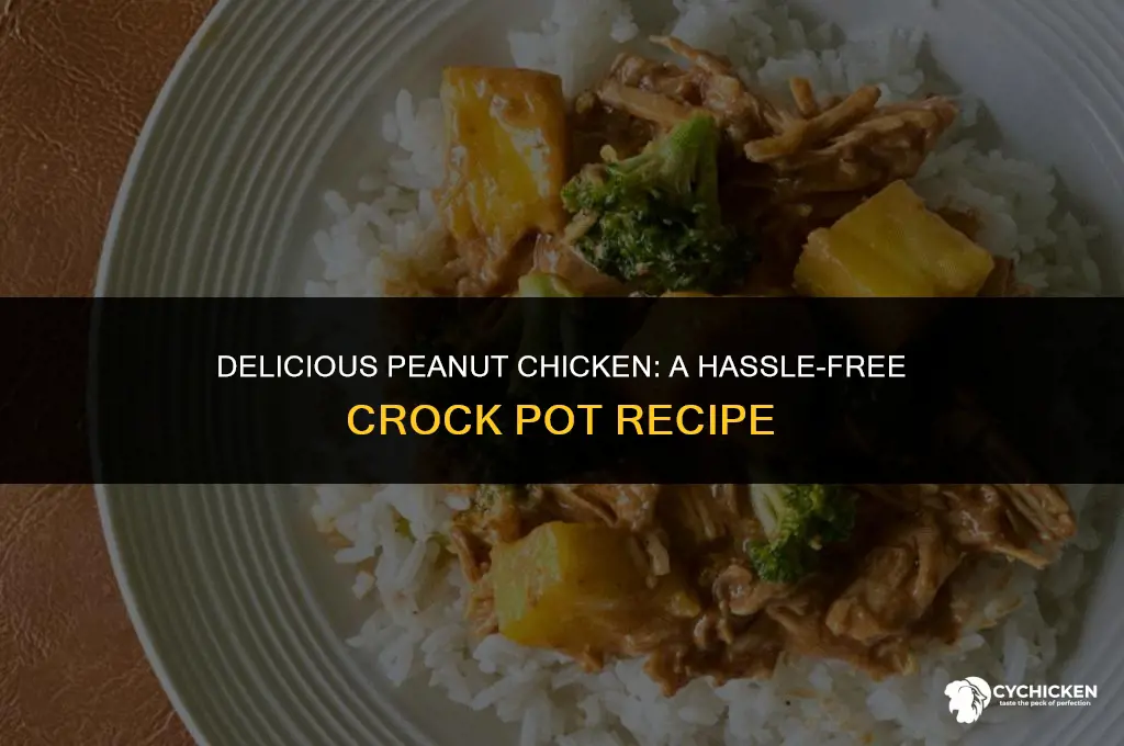 how to make peanut chicken in crock pot