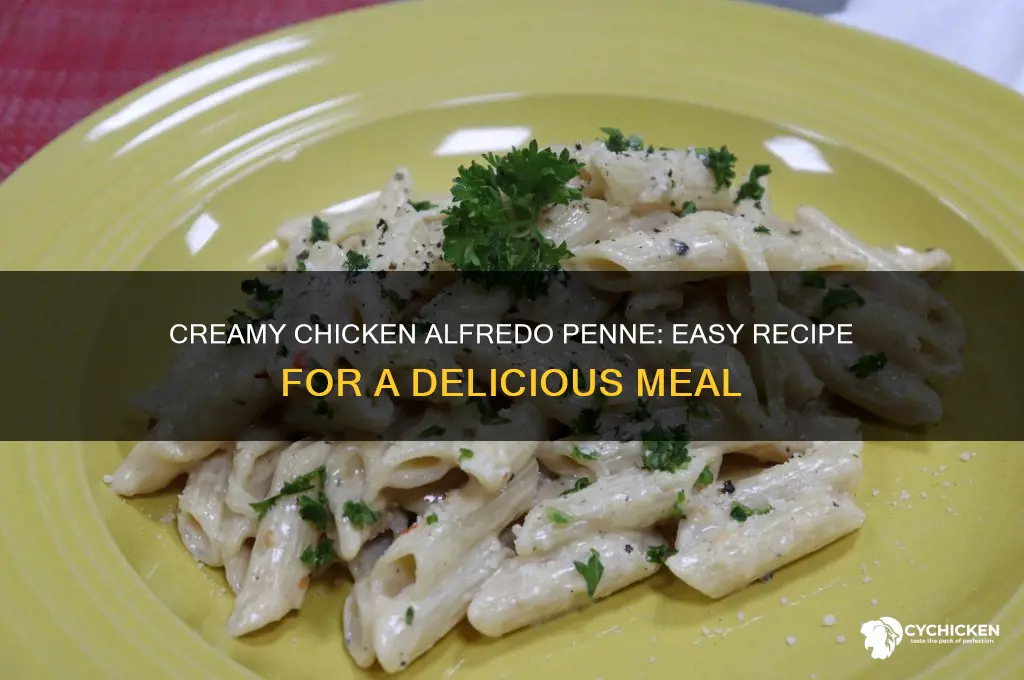 how to make penne pasta with alfredo sauce and chicken