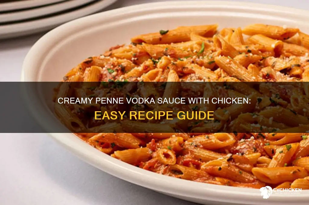 how to make penne vodka sauce with chicken