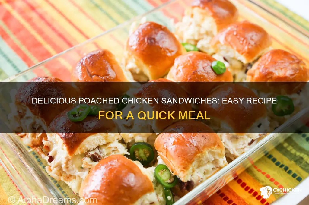 how to make poached chicken sandwiches