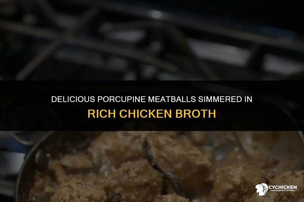 how to make porcupine meatballs with chicken broth