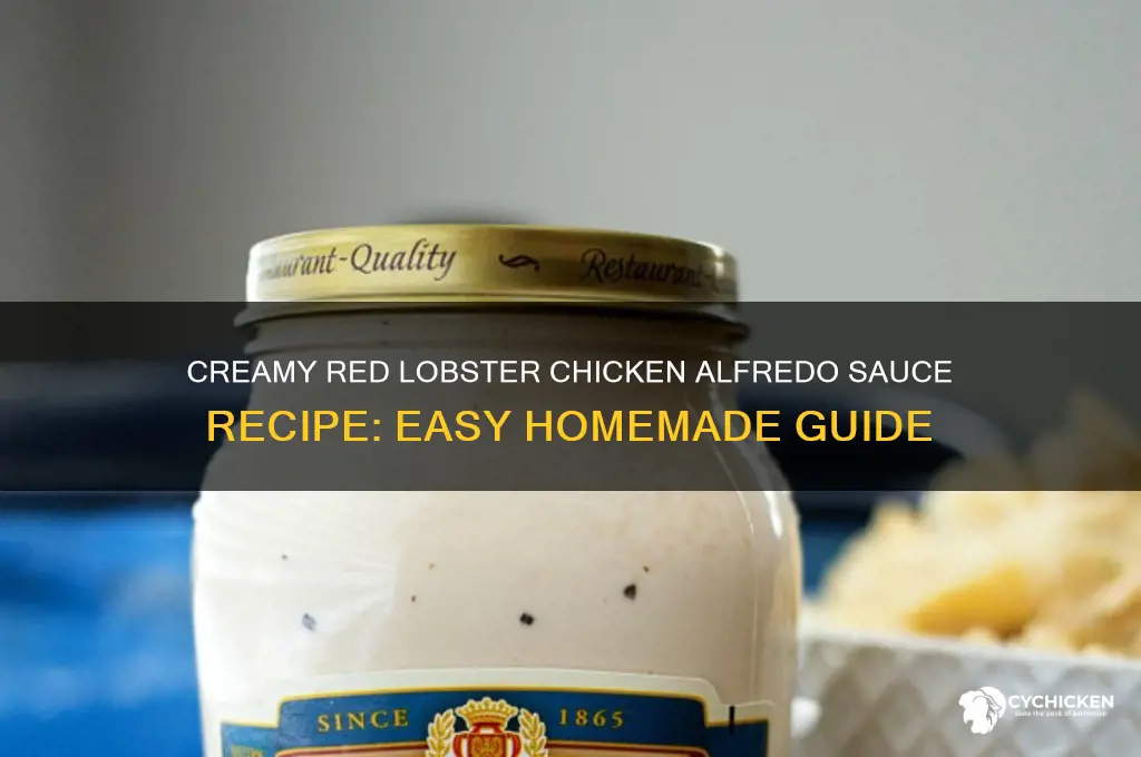 how to make red lobster chicken alfredo sauce