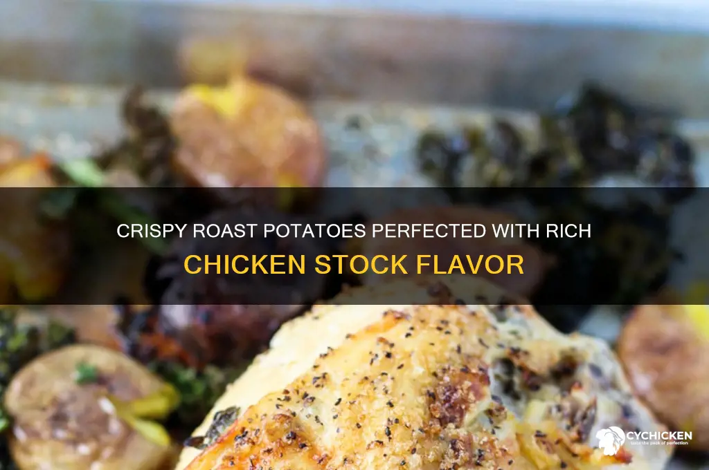 how to make roast potatoes with chicken stock
