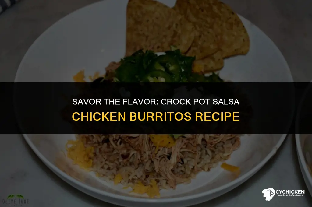 how to make salsa chicken burittos in a crock pot