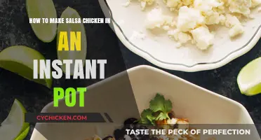 Quick and Flavorful Instant Pot Salsa Chicken Recipe