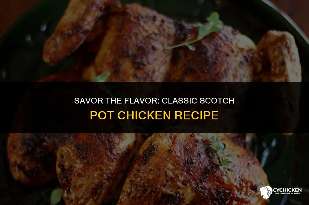 how to make scotch pot chicken