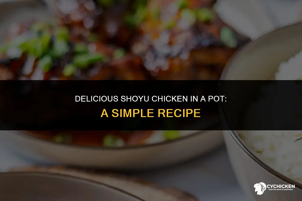how to make shoyu chicken in a pot